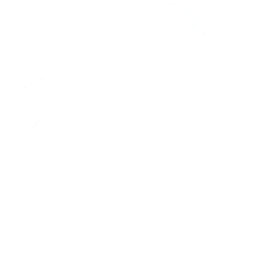 AIR logo